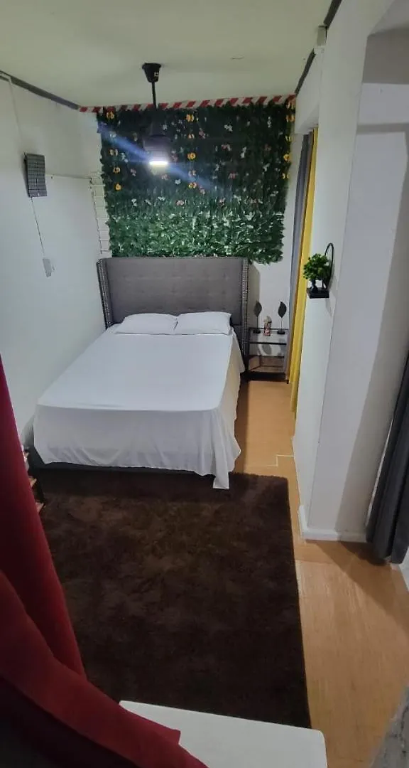 Hotel Residencial Arlett 聖多明哥 0*,